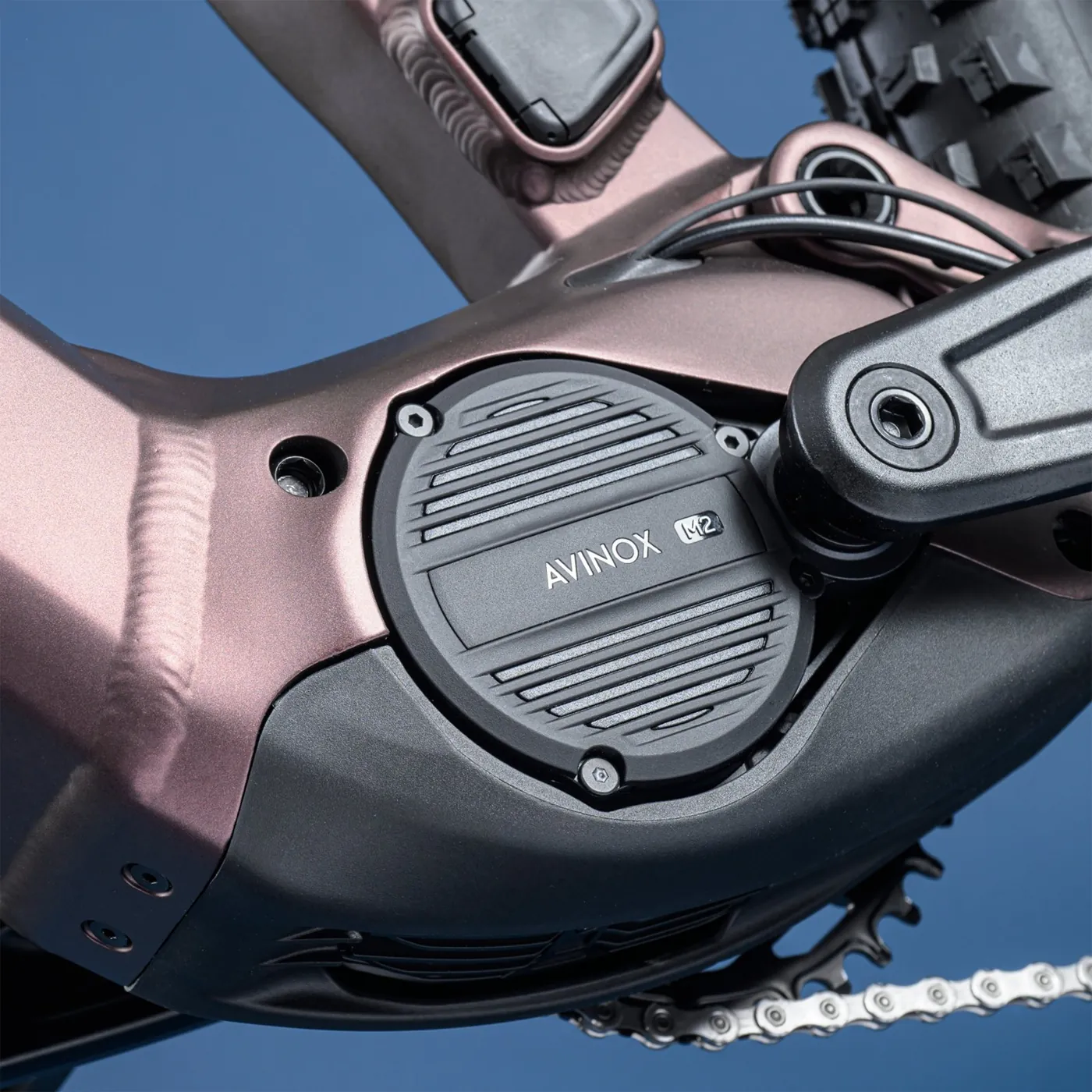 Kellys THEOS AX20, detaliu 3